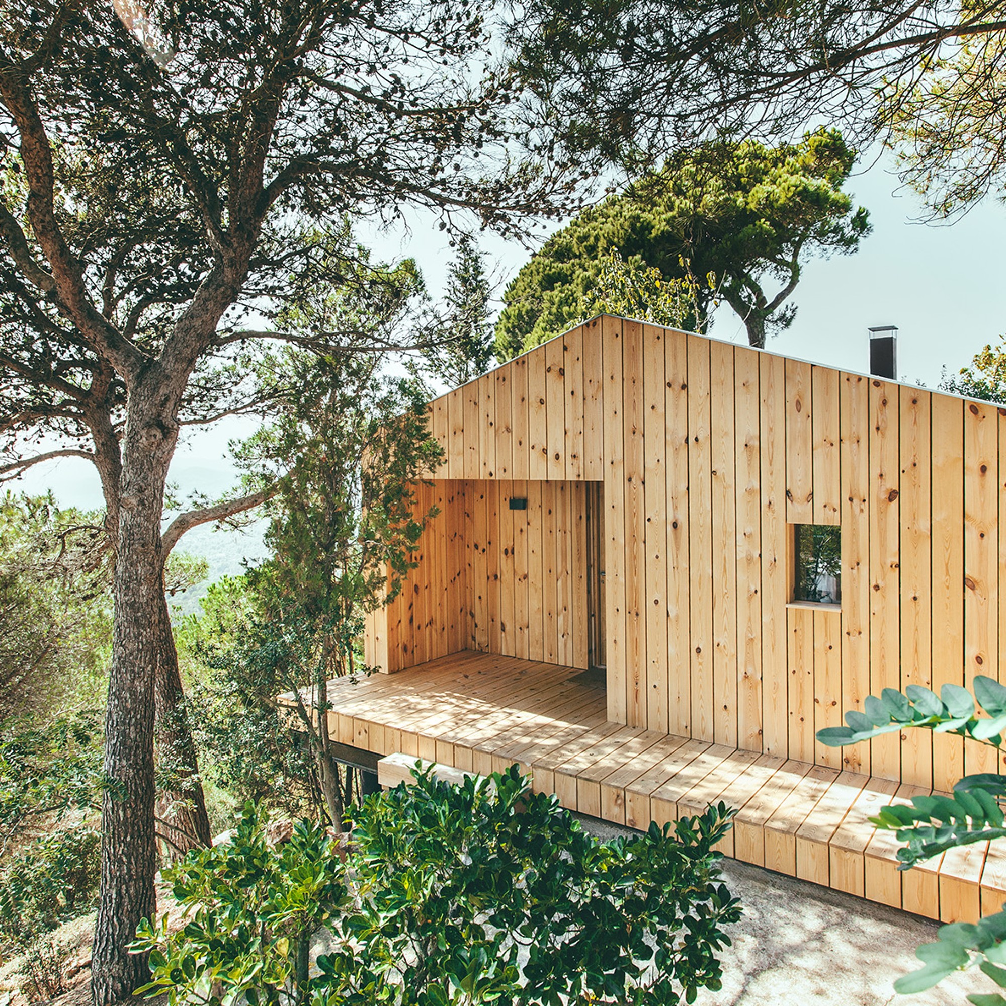 Holzhaus mit Satteldach im Wald 