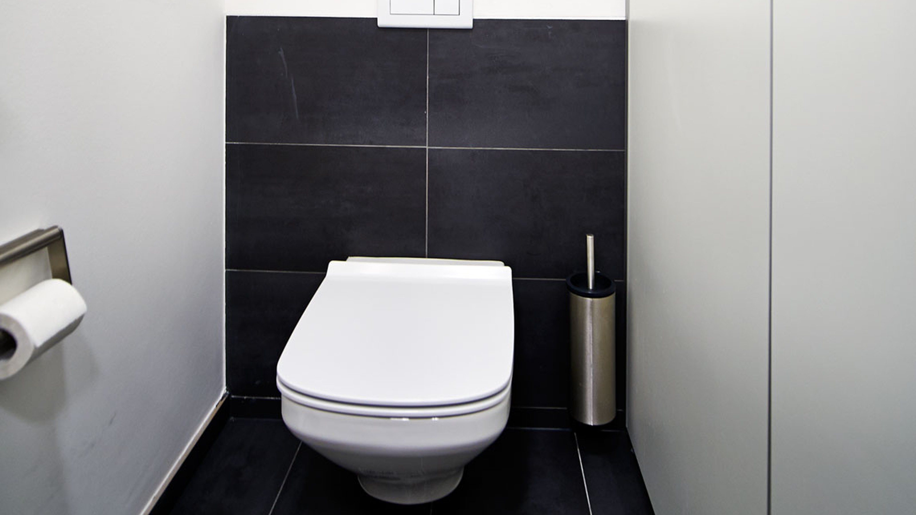 Neuer Zollhof, front view of a toilet