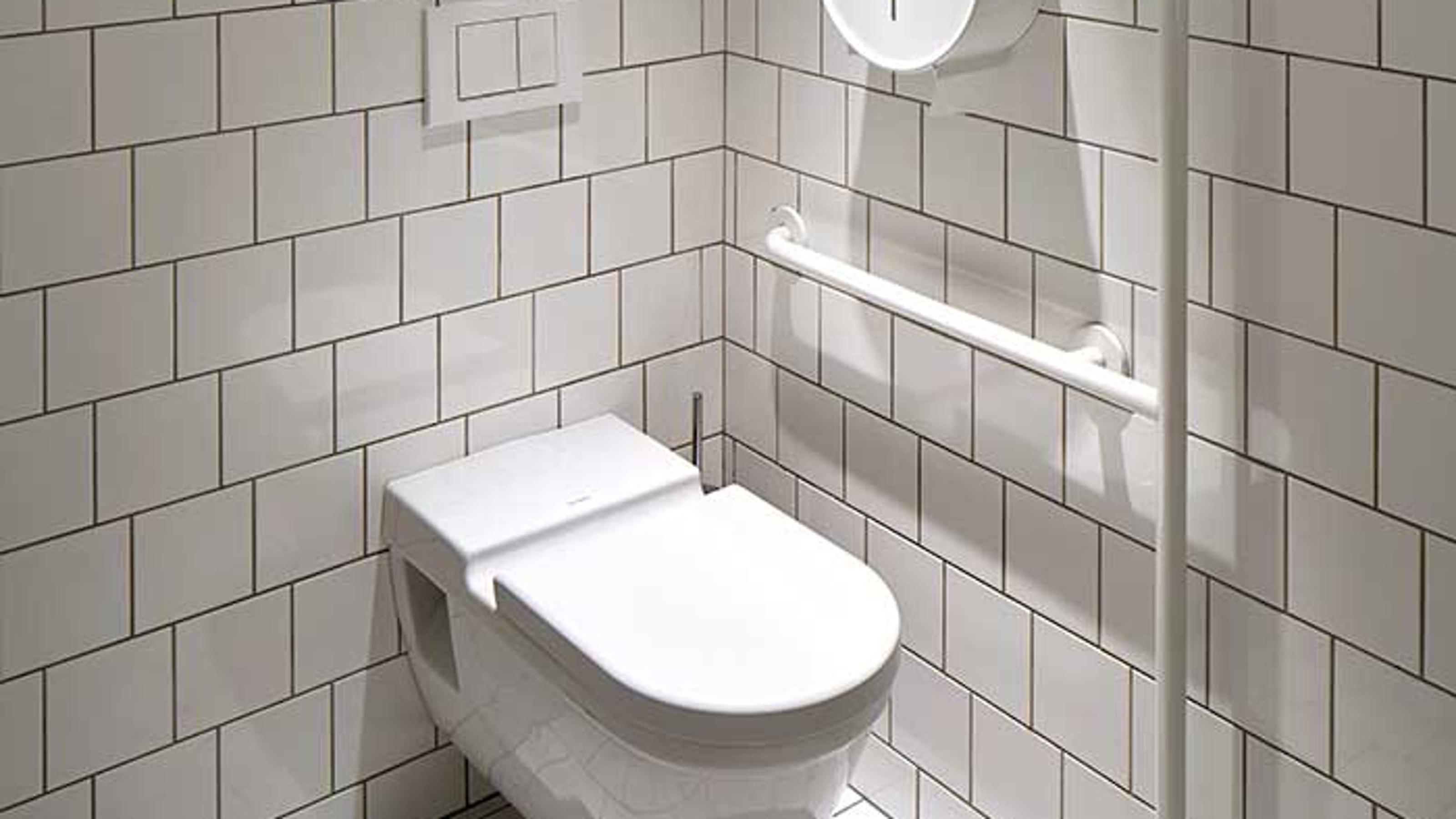 Philharmonie de Paris, accessible toilet