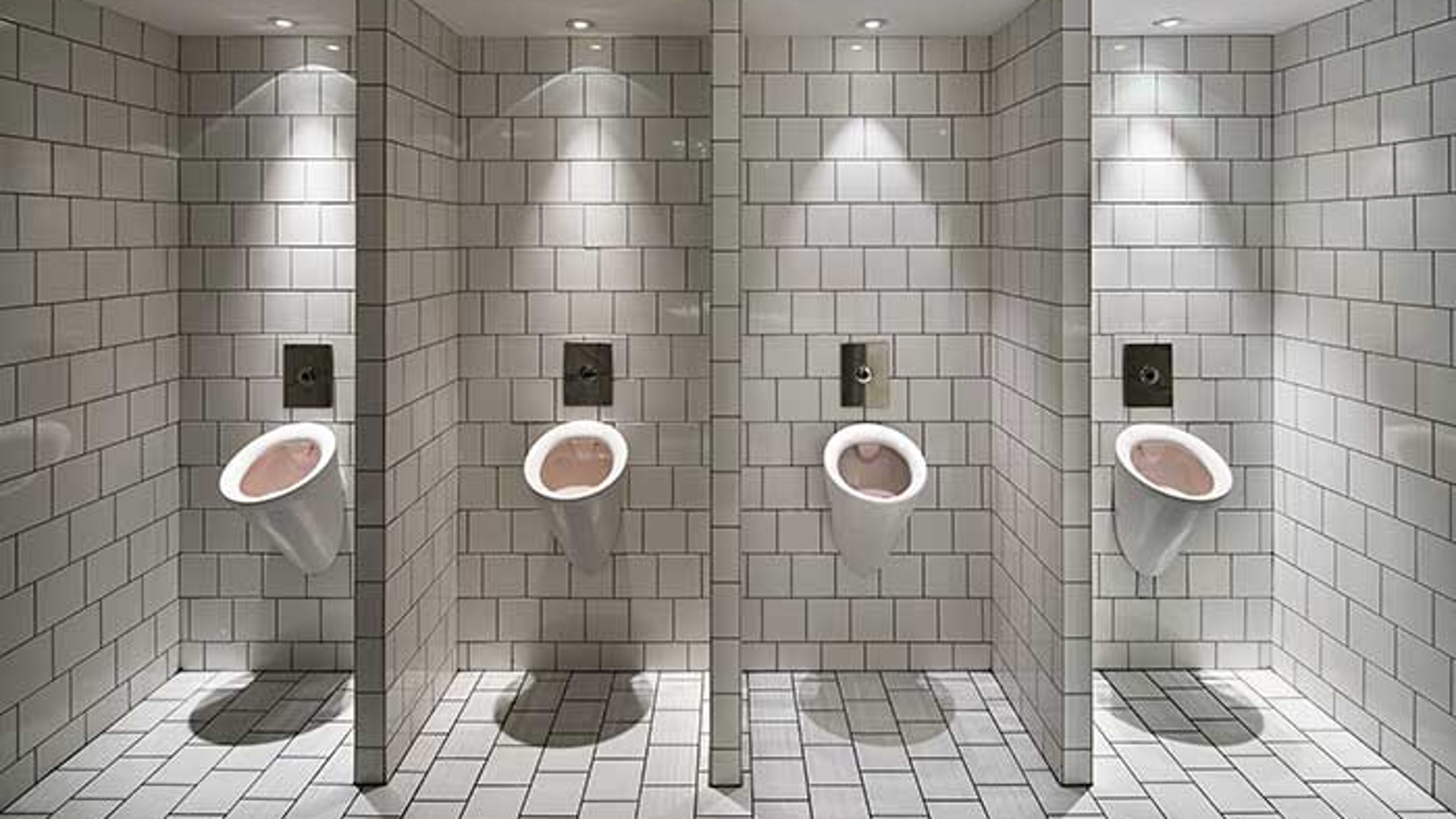 Philharmonie de Paris, four urinals with partitions