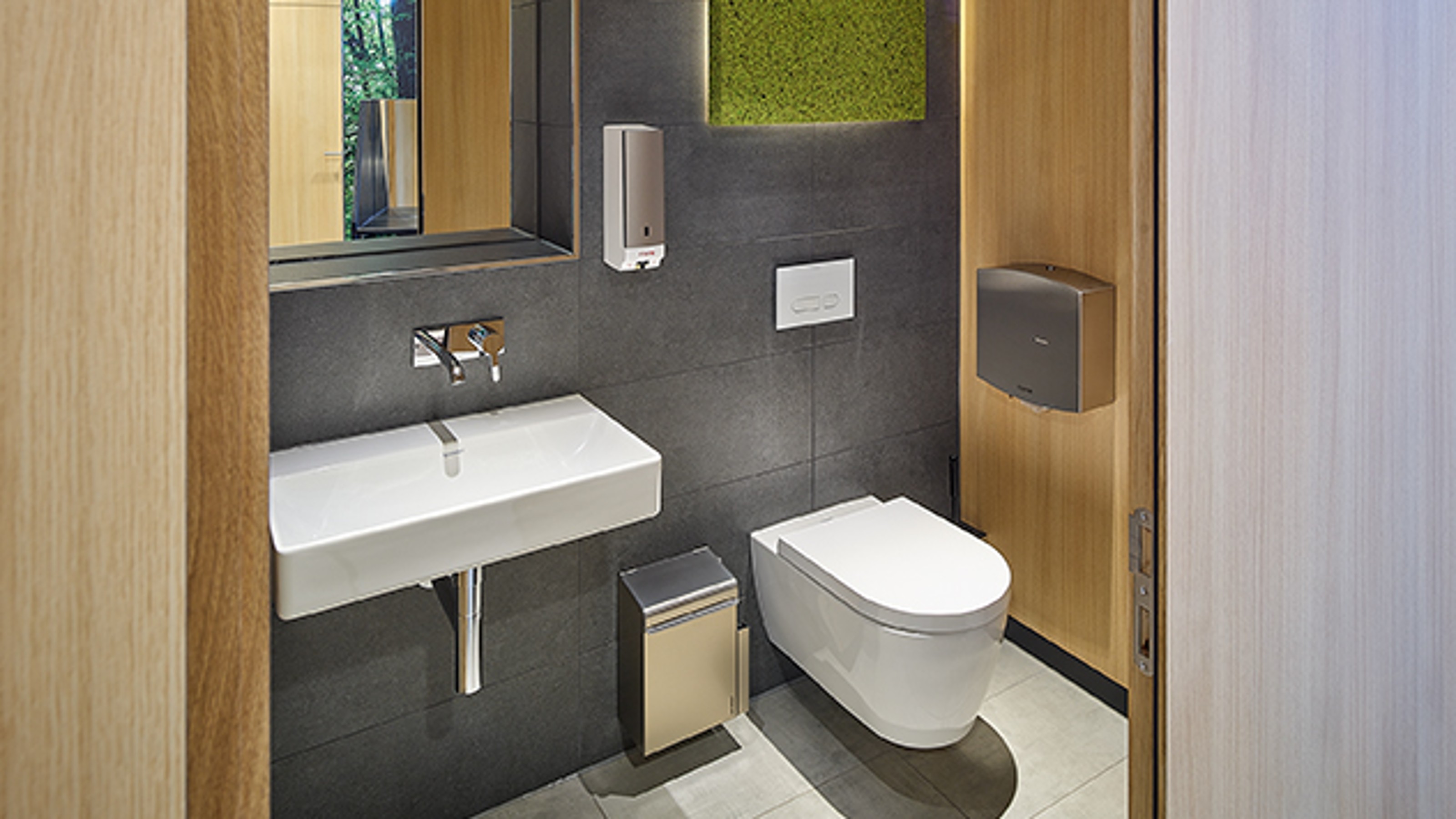 Toilet facilities in Titisee from the inside, view of a room with toilet and washbasin