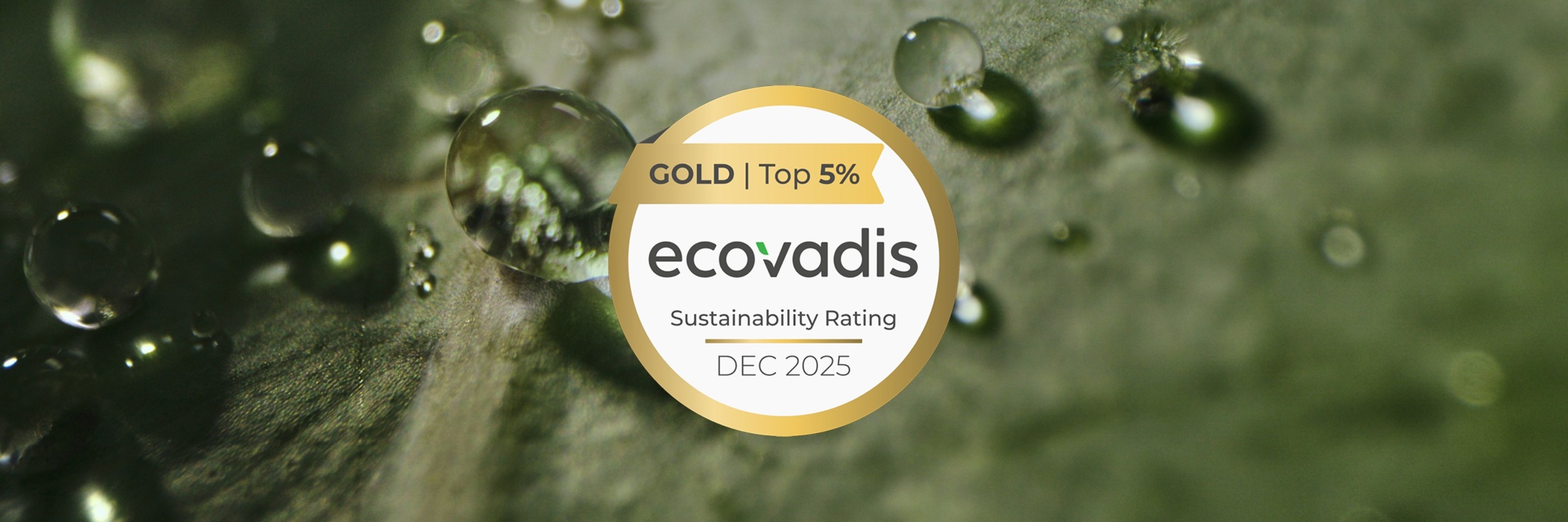 EcoVadis Zertifikat Gold auf grünem natürlichen Hintergrund
