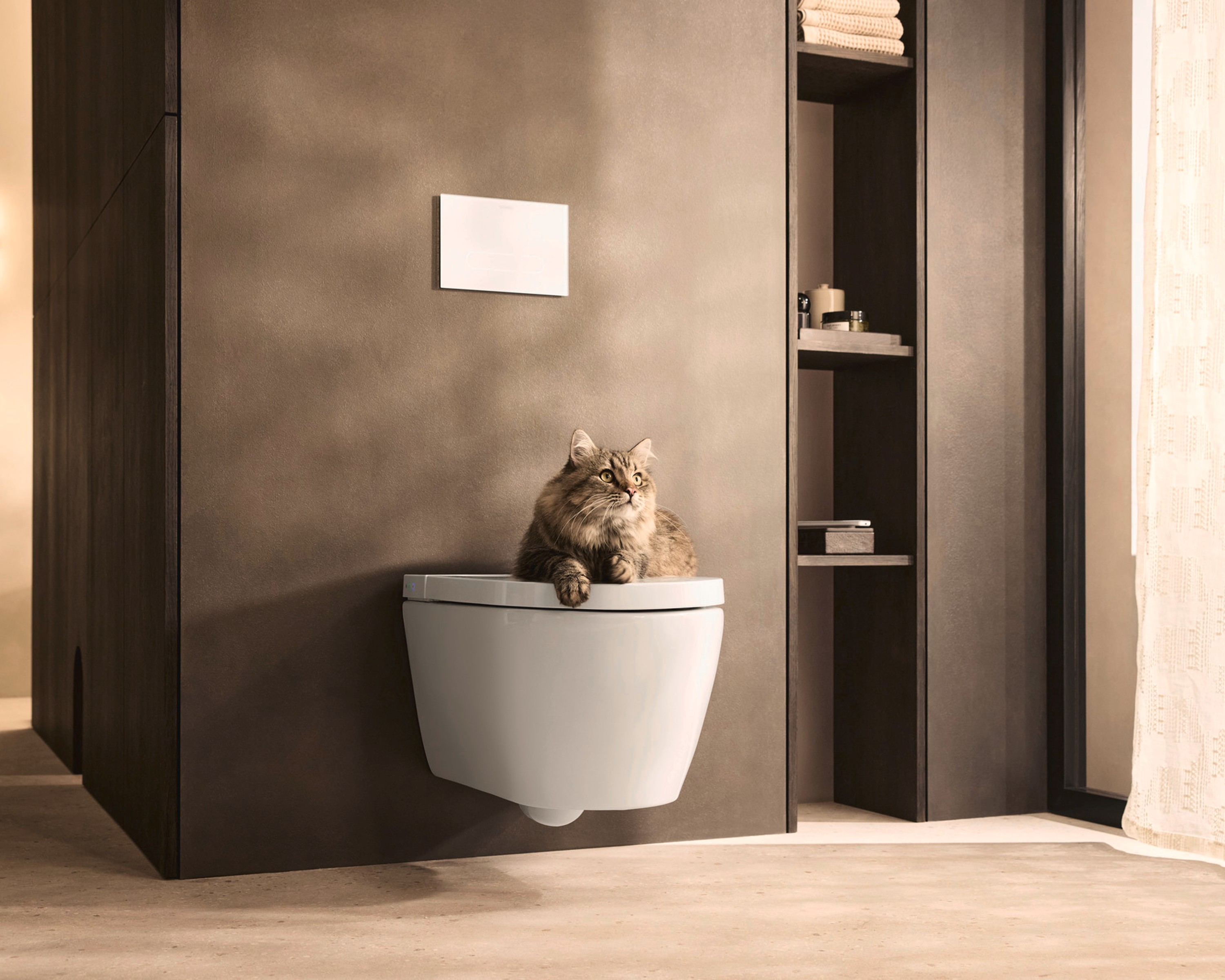 Eine Katze liegend auf einem Dusch WC der Serie SensoWash Strack f von Duravit 